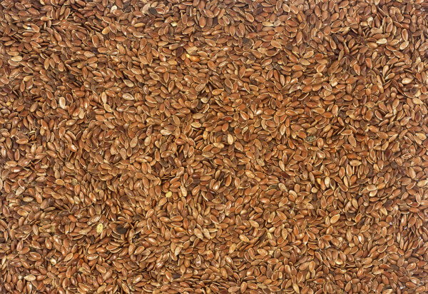 фото Flax seeds inspection