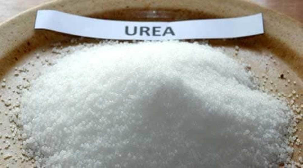 фото Urea fertilizer inspection