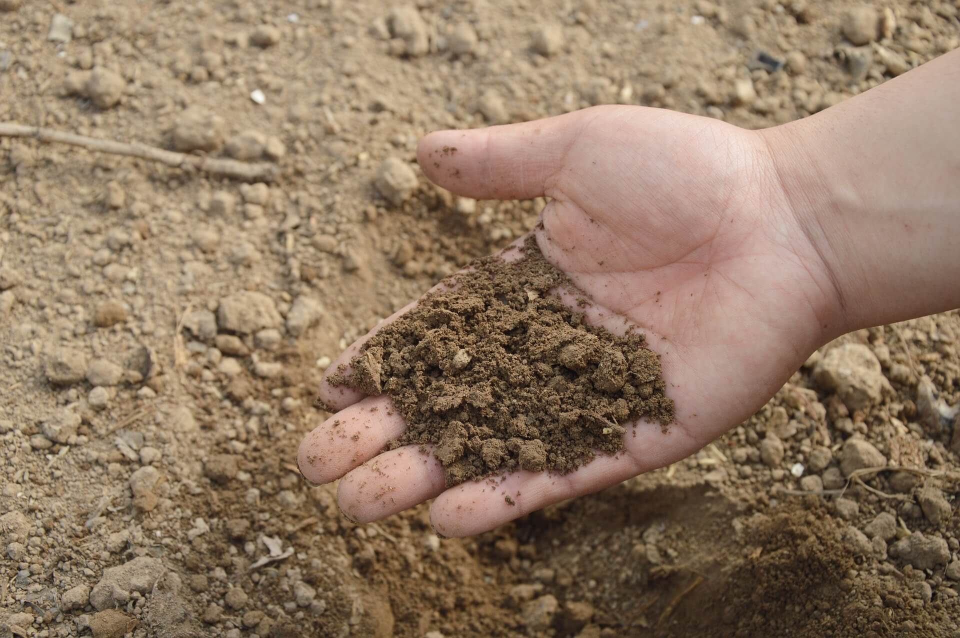 crop monitoring service photo