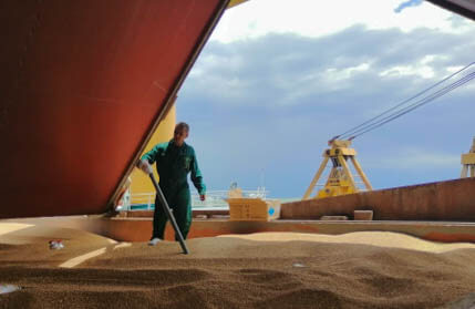 fumigation of cargo in grain carriers, wagons, containers photo