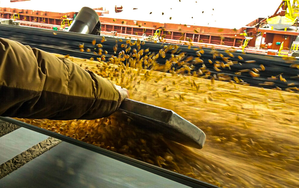 grain inspection and quality control photo