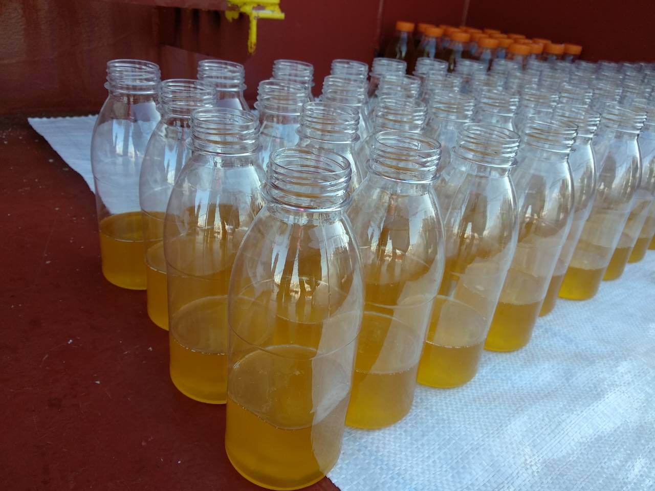stages of sunflower oil inspection photo